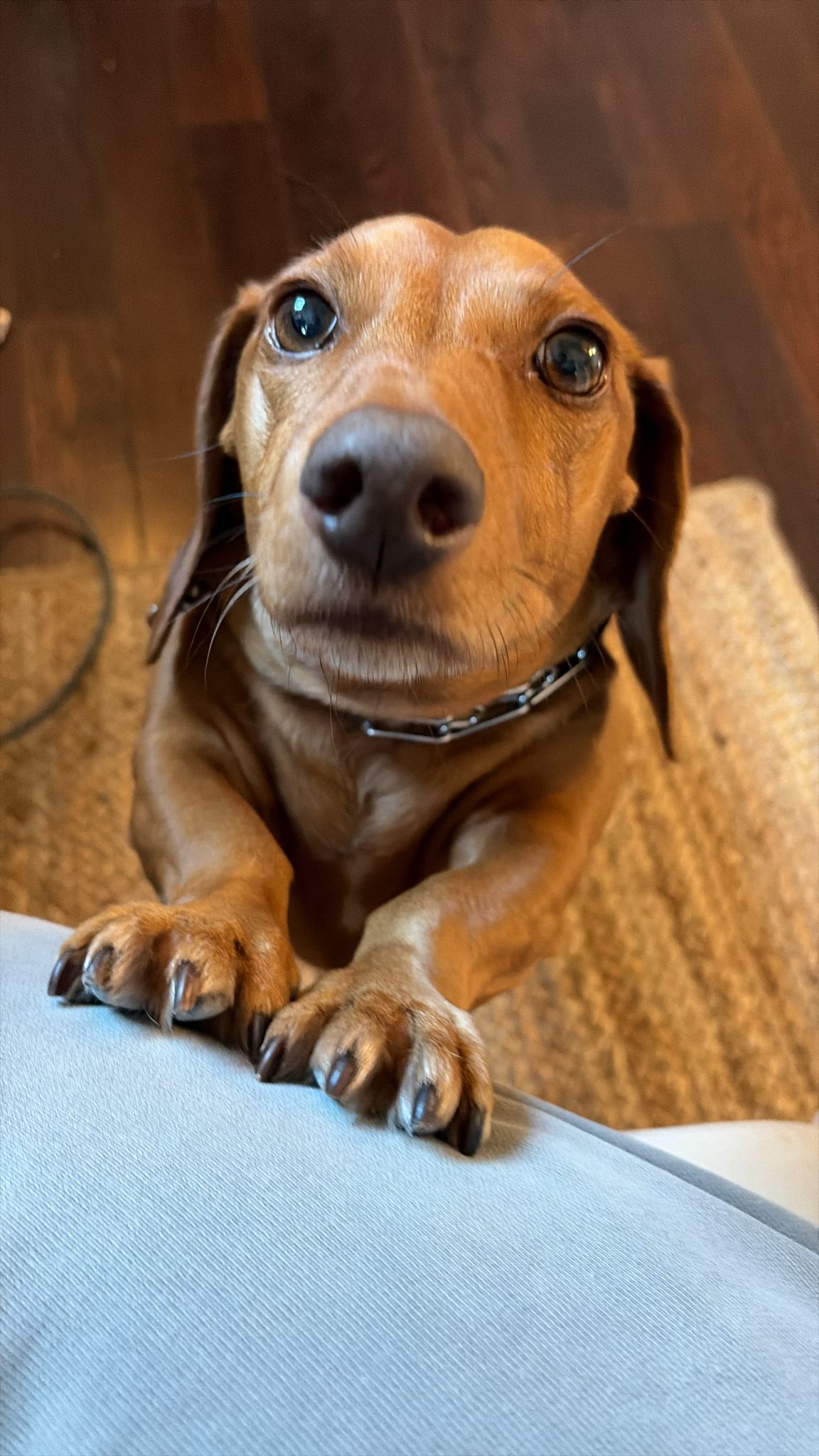 Best friends forever!