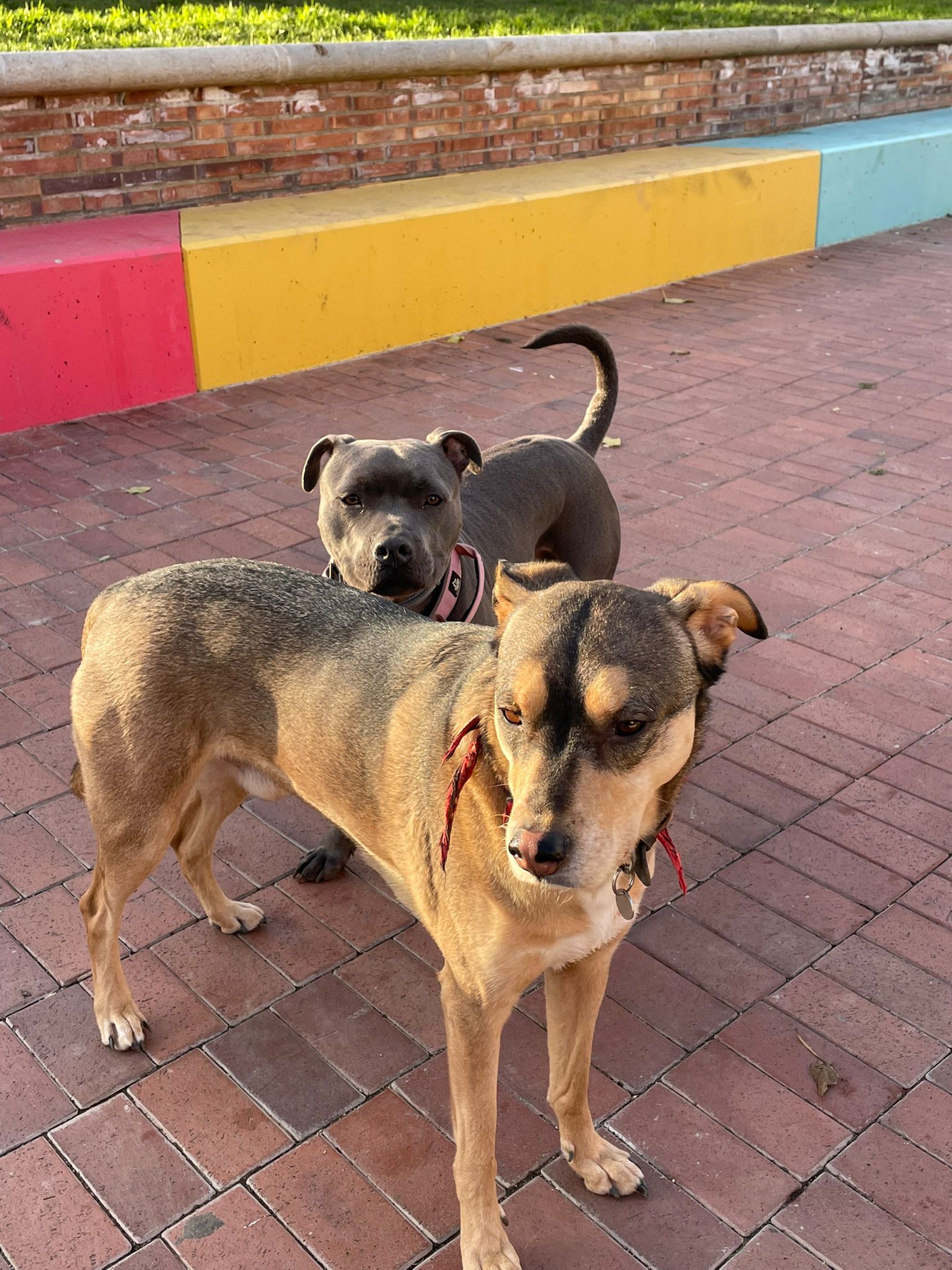 Squad goals achieved