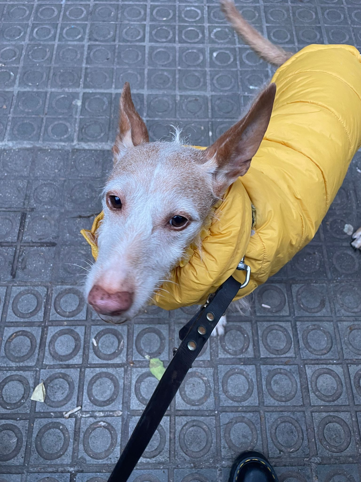 Looking fabulous today