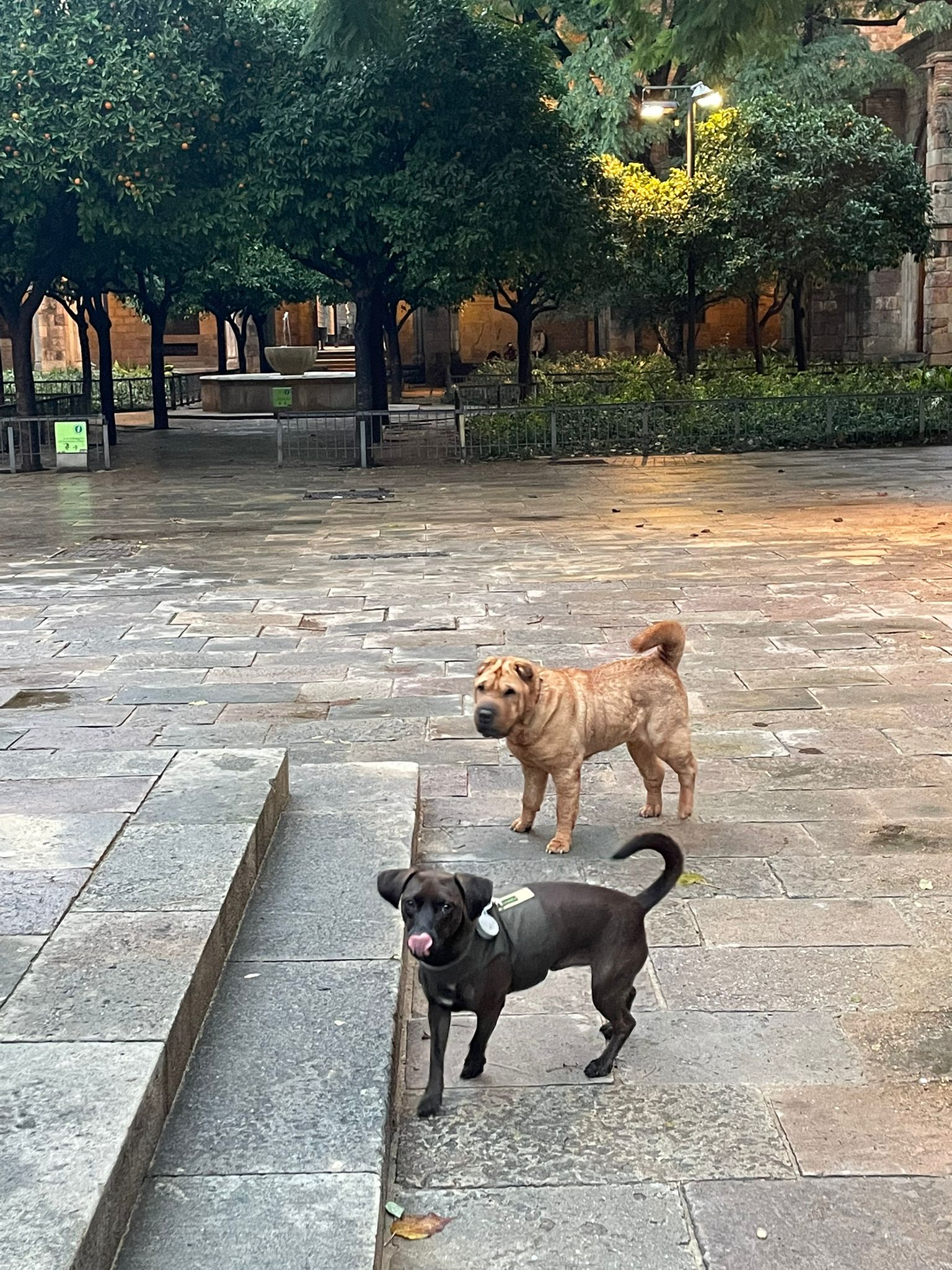 Park life perfection