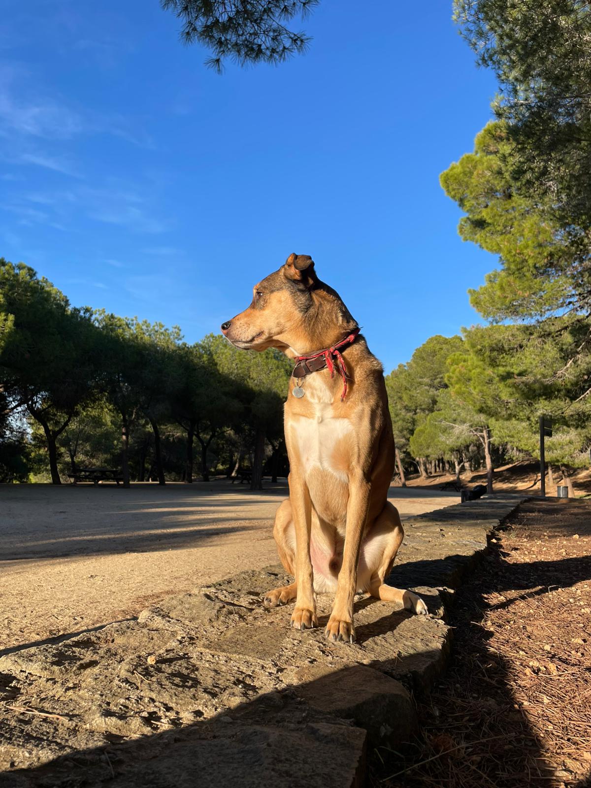 Smile for the camera!