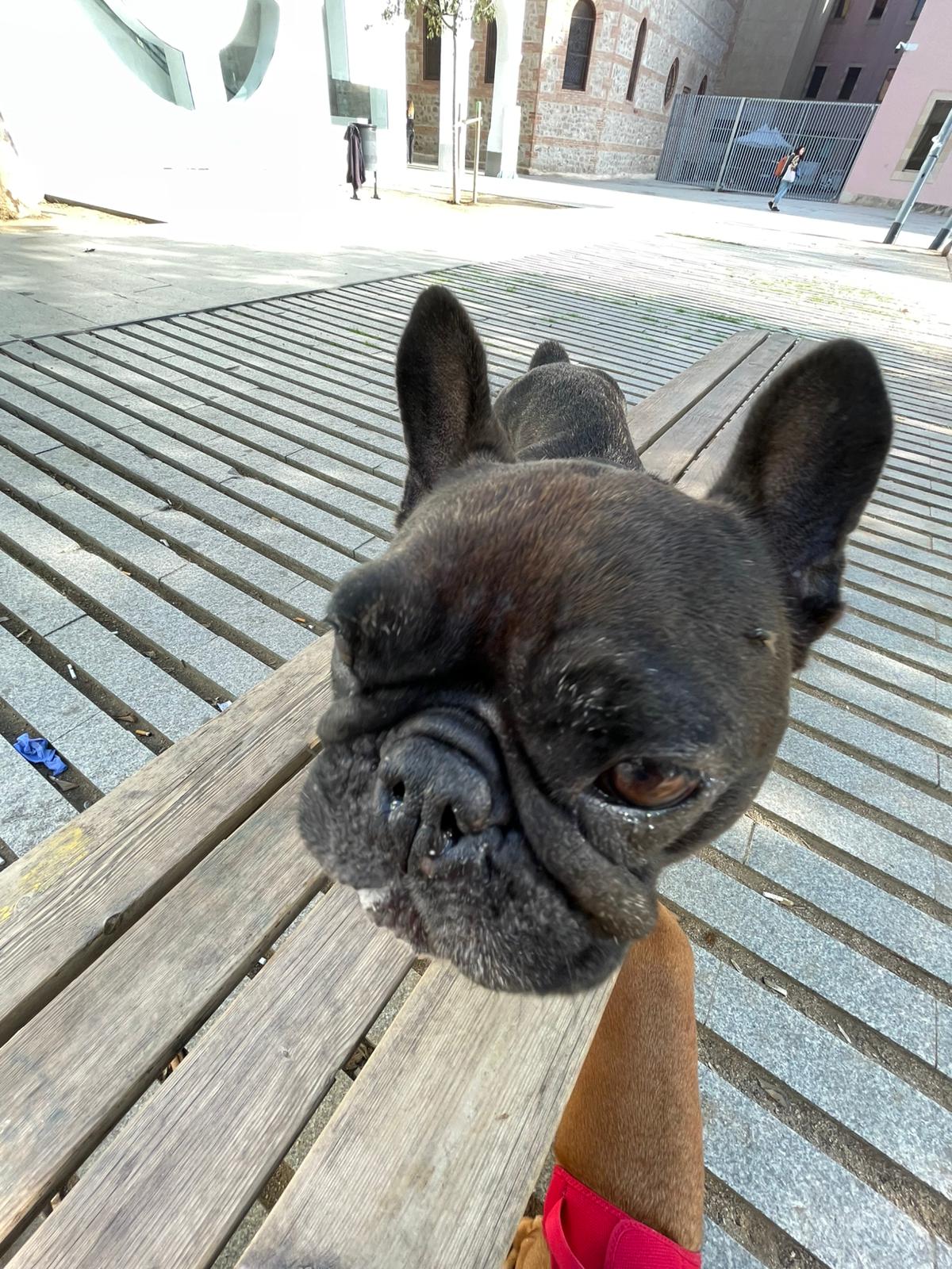 Nature's best friend