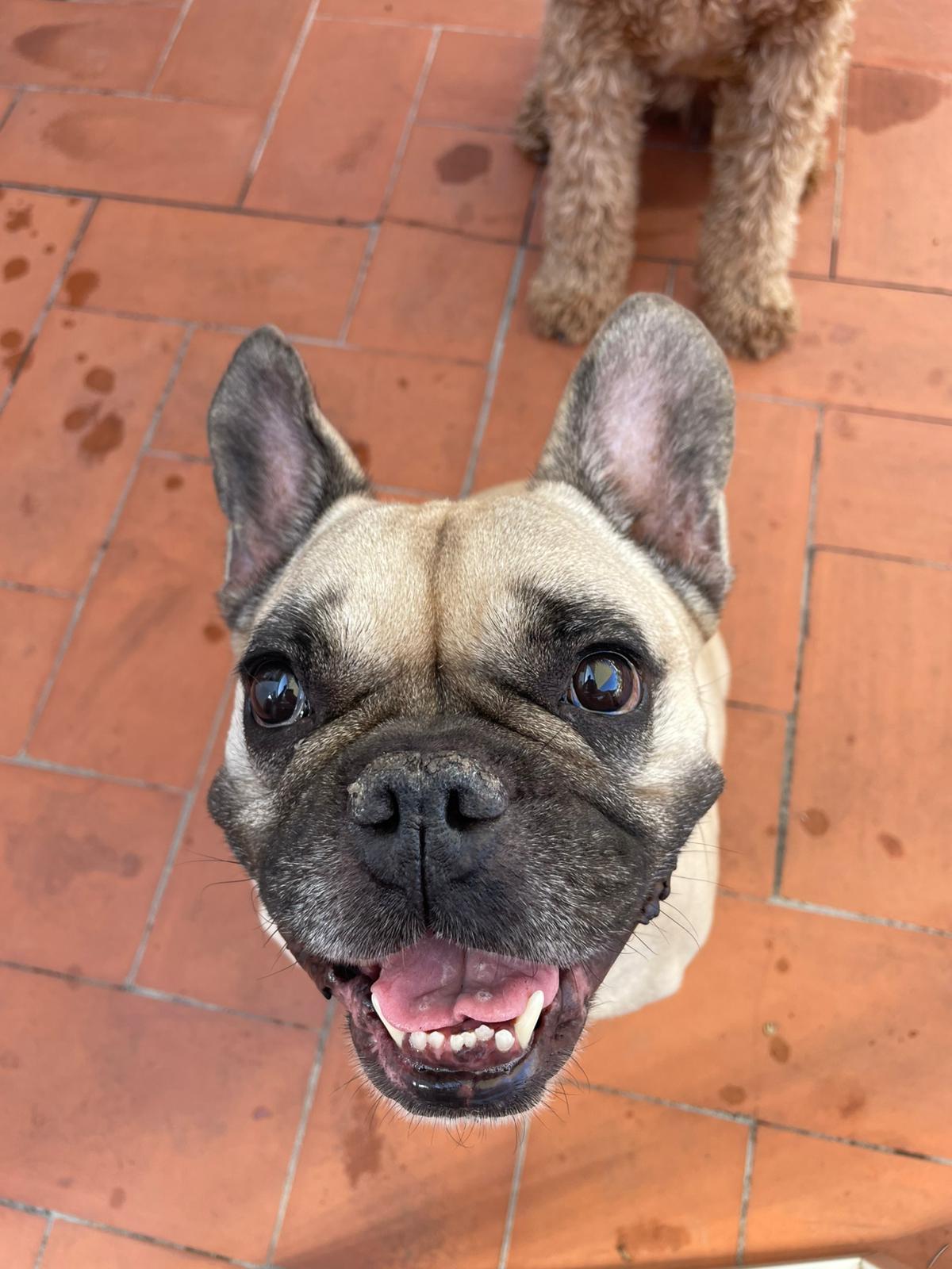 Evening stroll magic