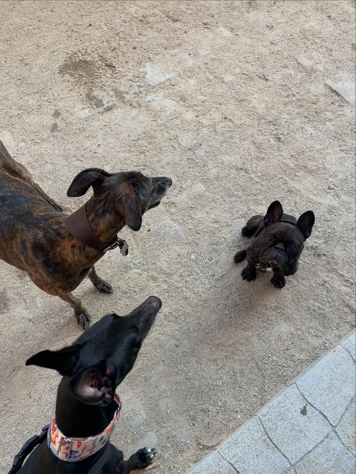 Park bench philosopher